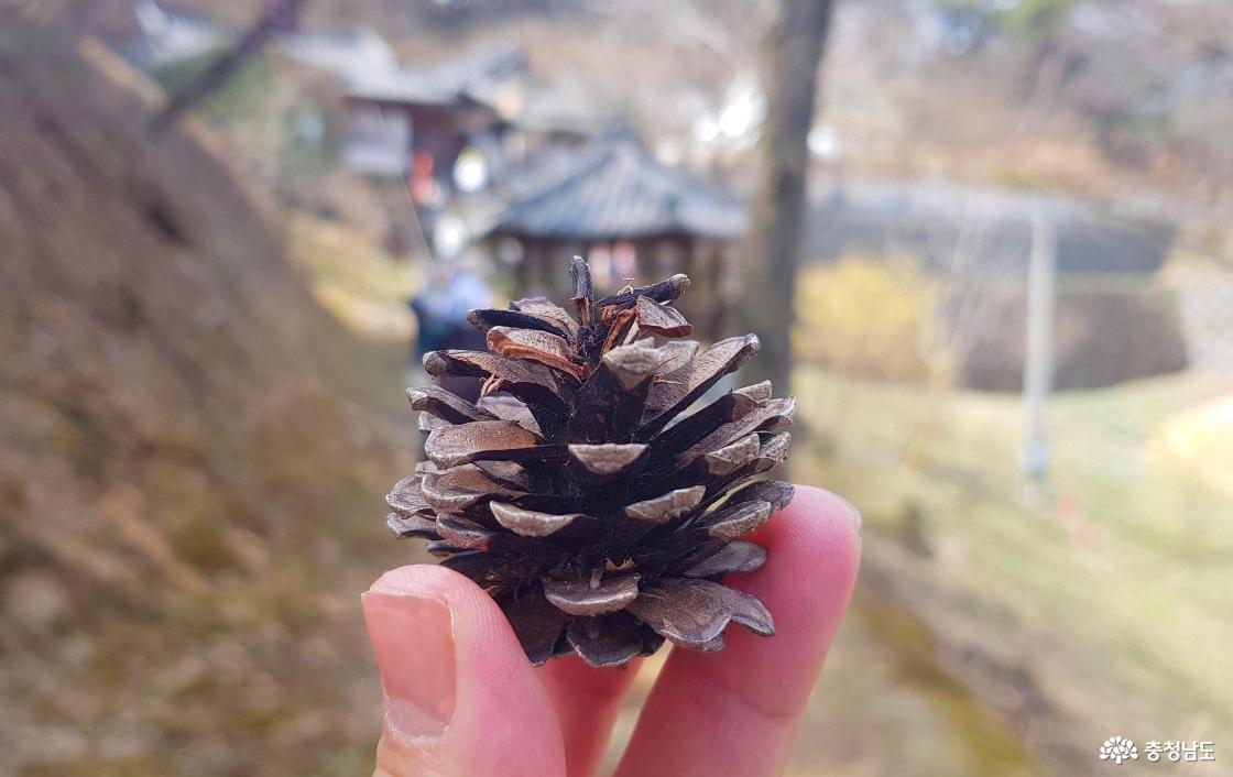 공주 시나브로 치유길 힐링여행은 산사 공양으로 마무리되었다.
