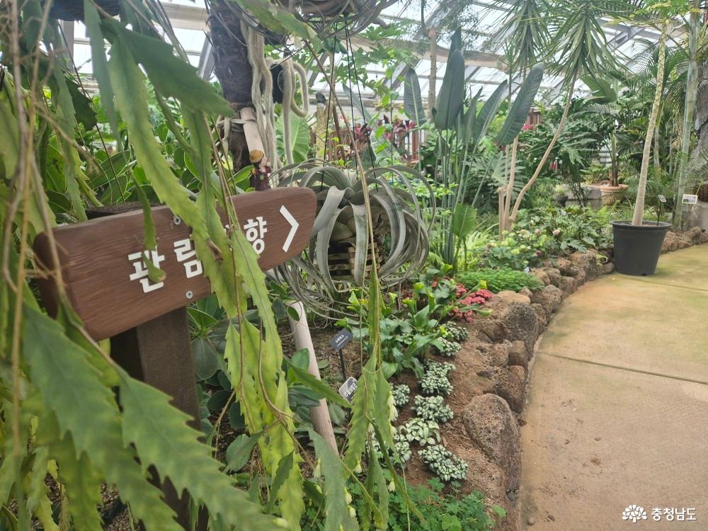 식물원 내부