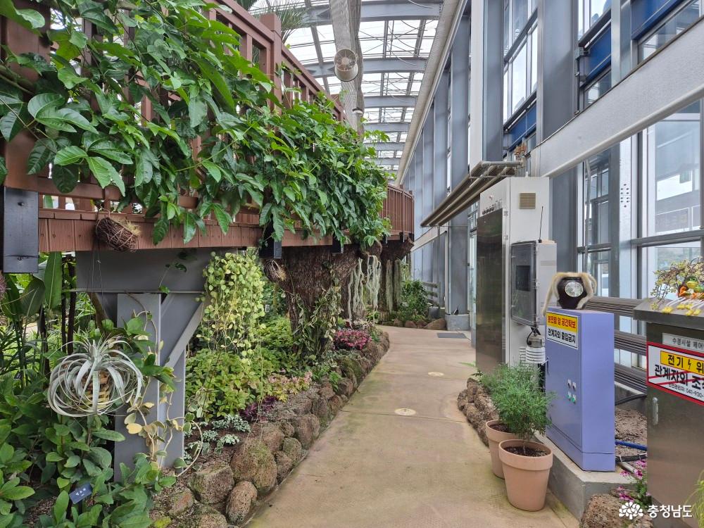 식물원 한바퀴 돌고 다가는 길