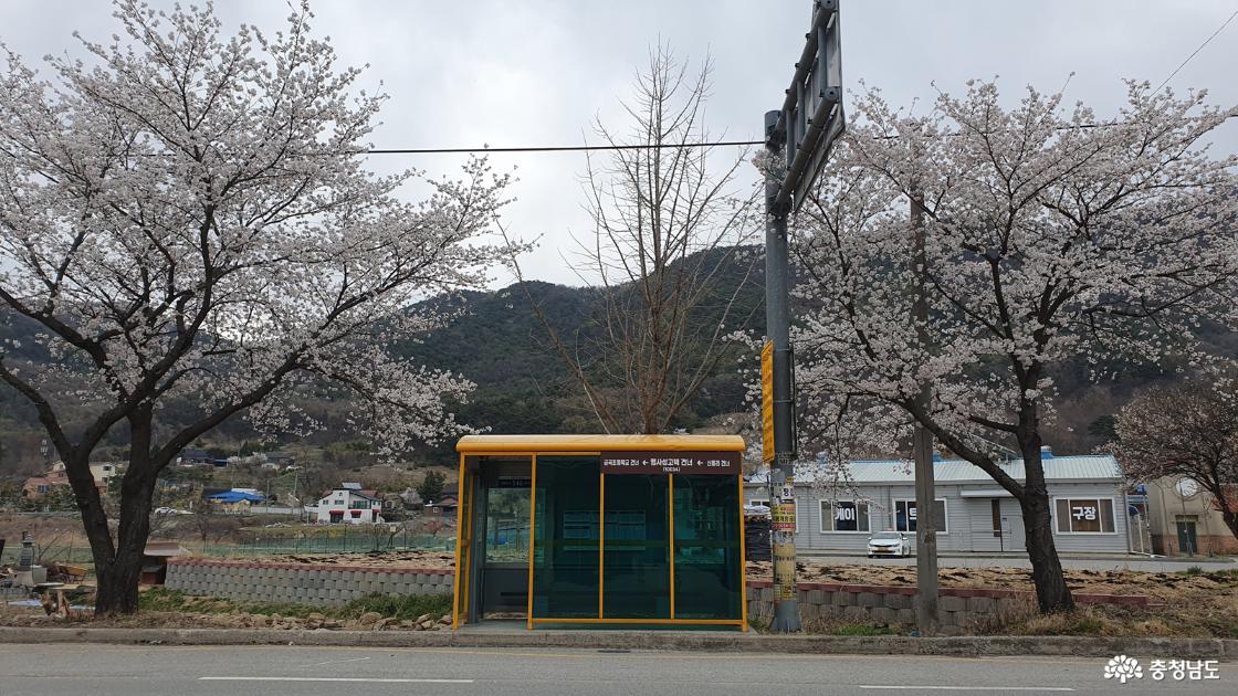 맹씨행단 버스정류장