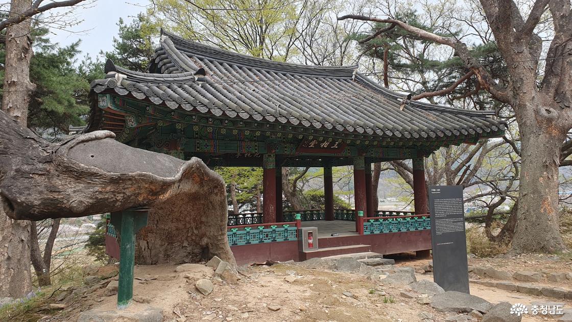 구괴정