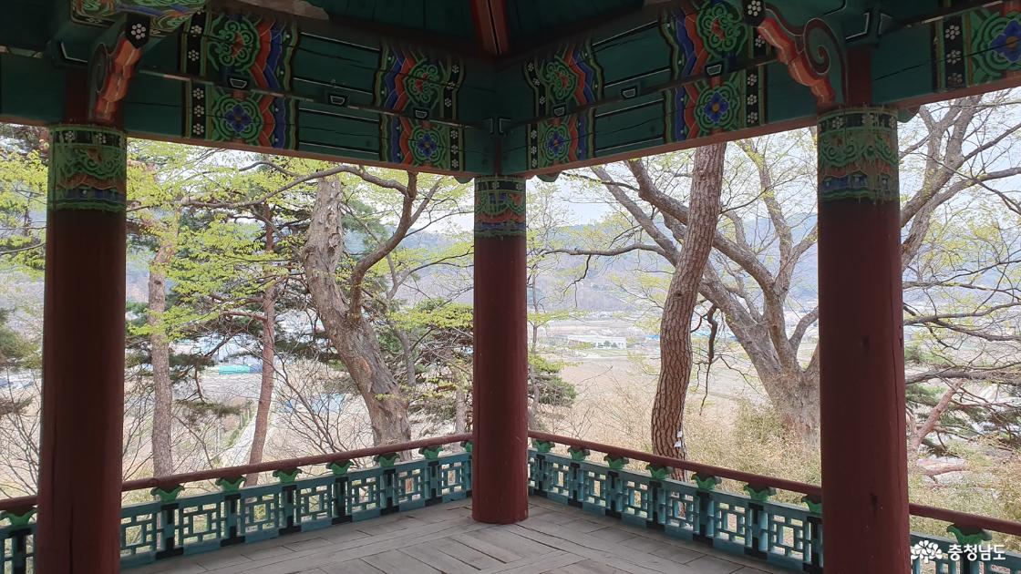 구괴정