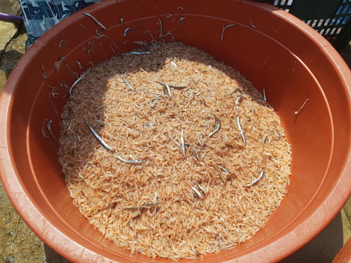 첫번째 평가할 곳, 마검포항은