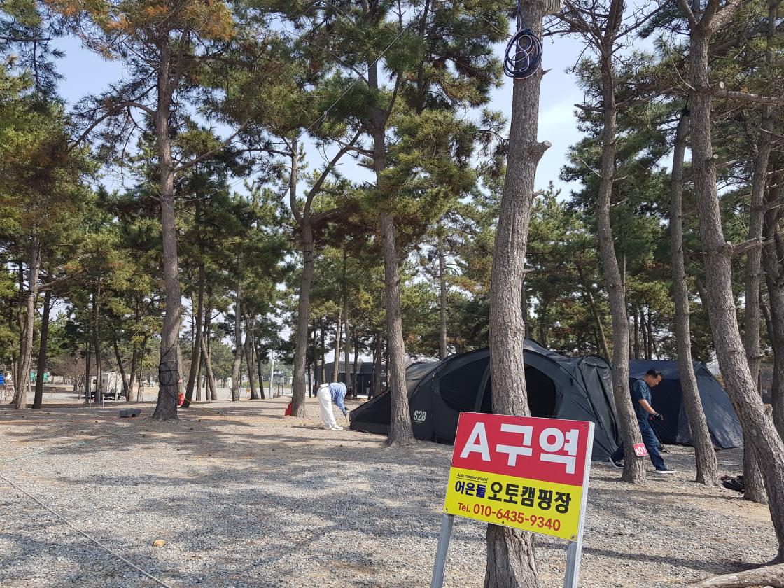 도민평가단