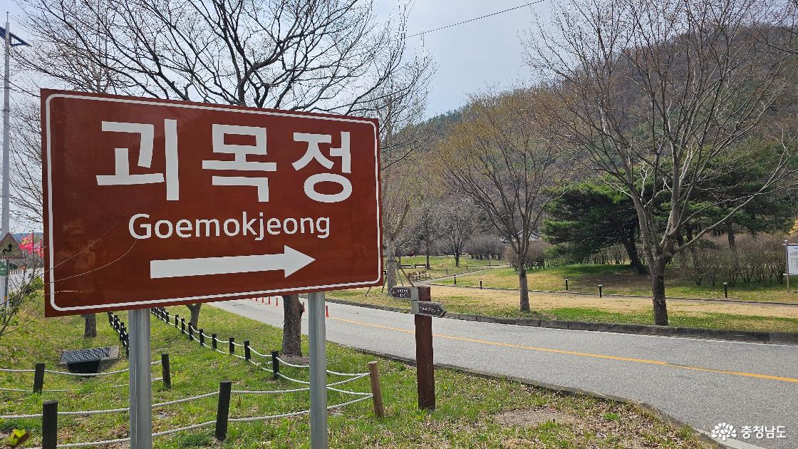 봄의 소리를 따라, 괴목정에 들다