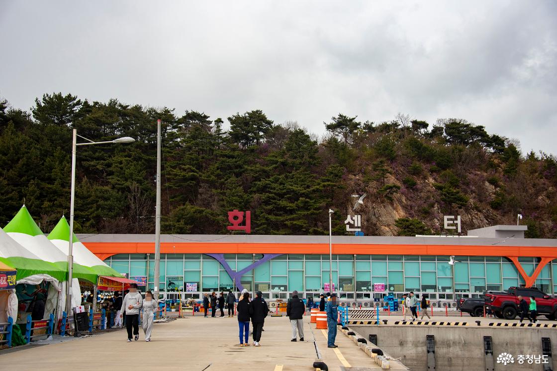 장고항 수산물 유통 센터 회센터의 모습