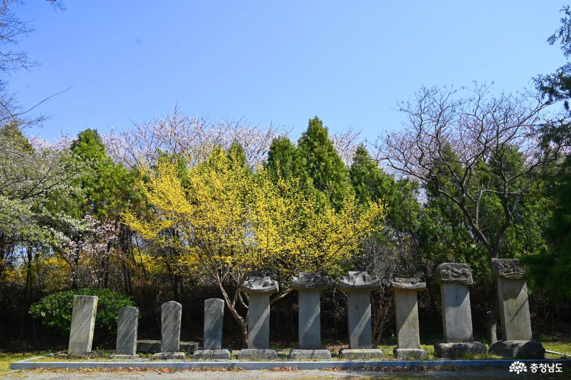 해미국제성지비