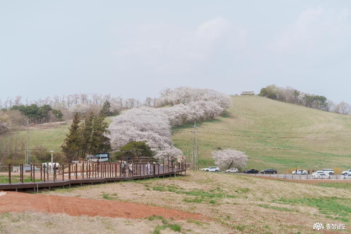 한우목장