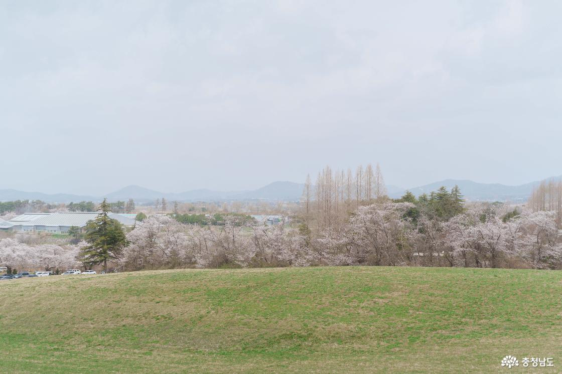 한우목장