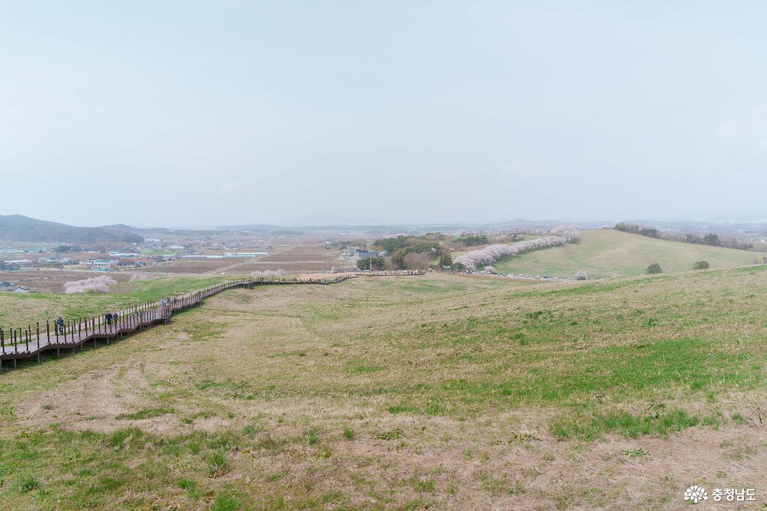 한우목장