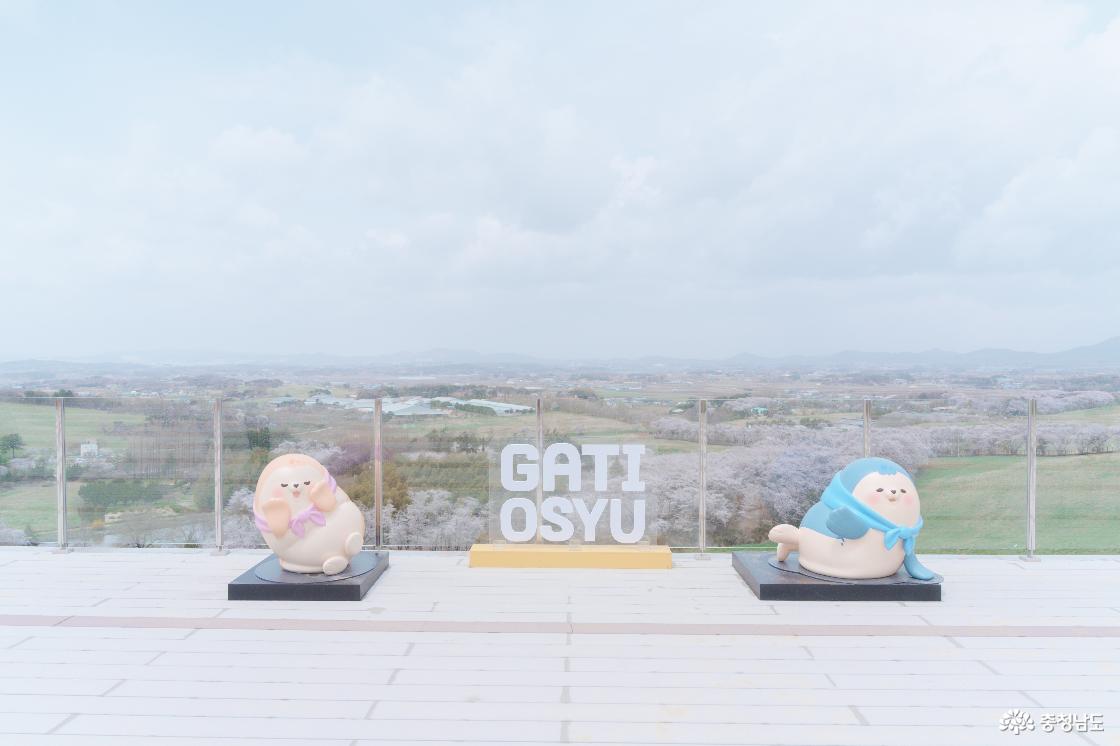 서산캐릭터