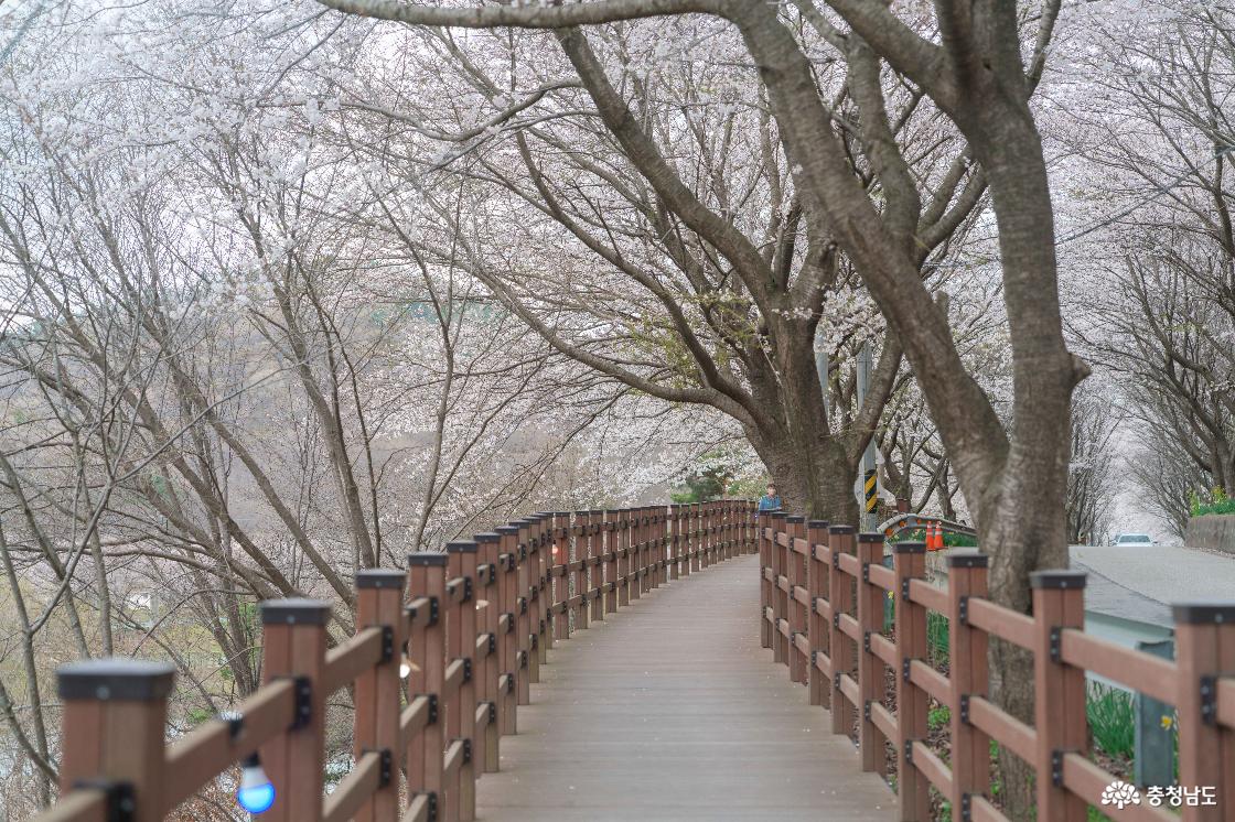고남저수지