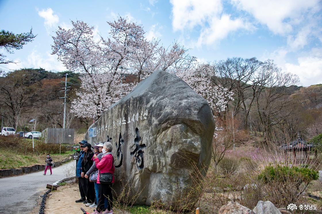 산사 한국의 산지승원 유네스코 세계유산 대한불교조계종 제6교구 본사 마곡사