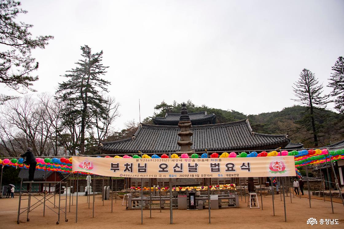 불기 2569(2025년) 세상에 평안과 마음에 자비를 부처님 오신날 법요식 2025년 5월 5일 오전 10시 장소 : 대광보전 앞