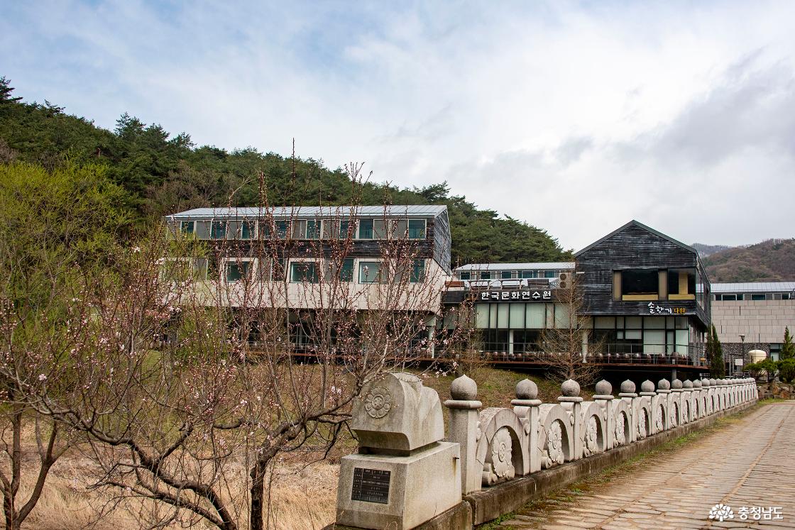 한국문화연수원과 솔향기 다원