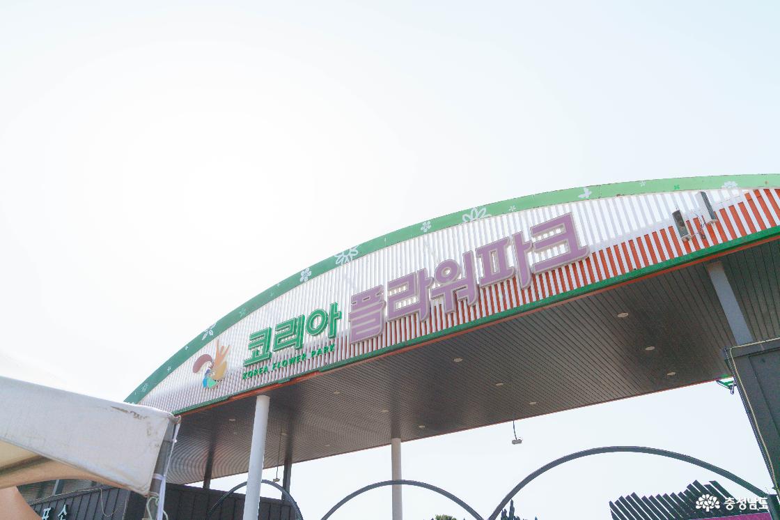 세계튤립꽃박람회