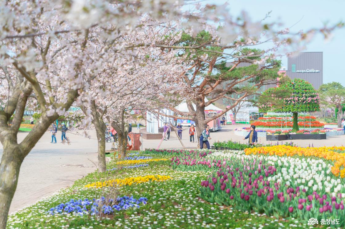 세계튤립꽃박람회