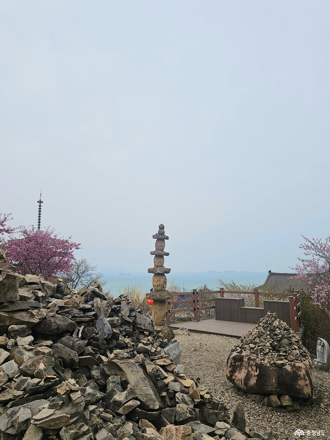 안면암