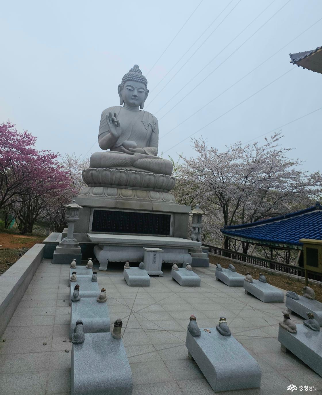 안면암