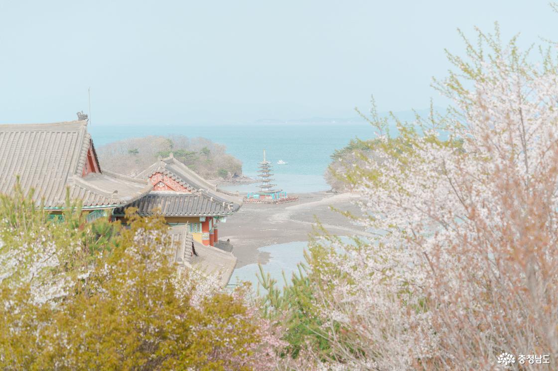 안면암