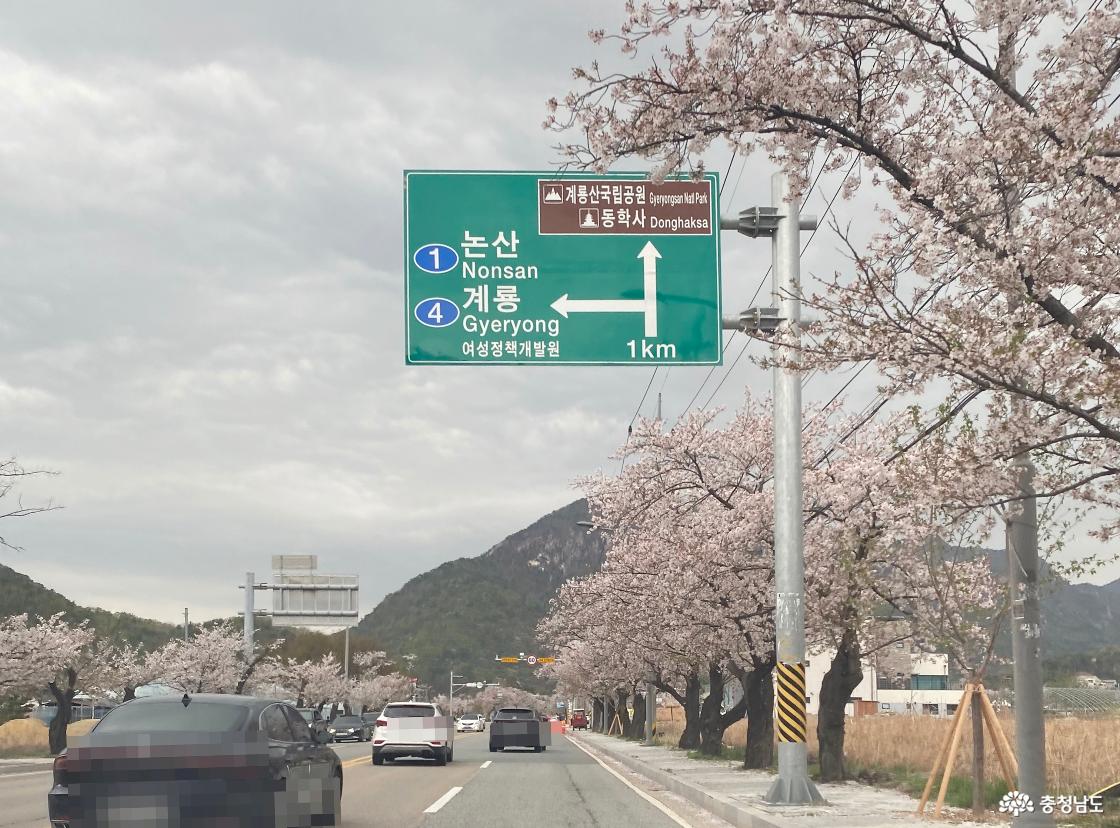 계룡산 국립공원 동학사 가는길 14