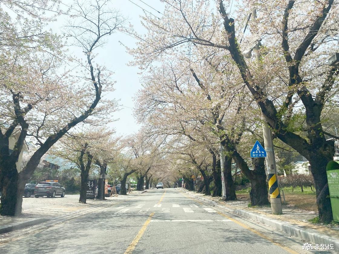 계룡산 국립공원 동학사 가는길 1222