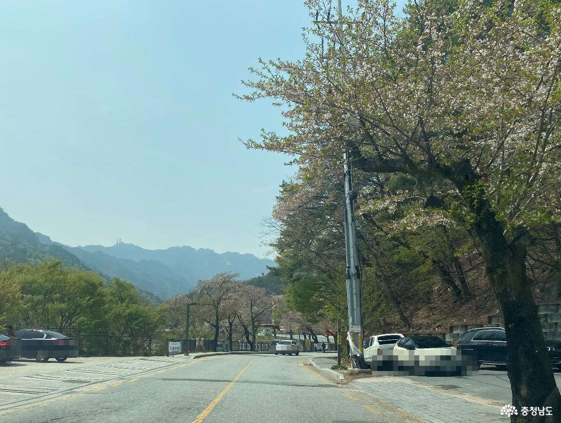 계룡산 국립공원 동학사 가는길 122