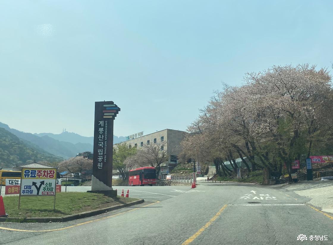 계룡산 국립공원 동학사 가는길 12