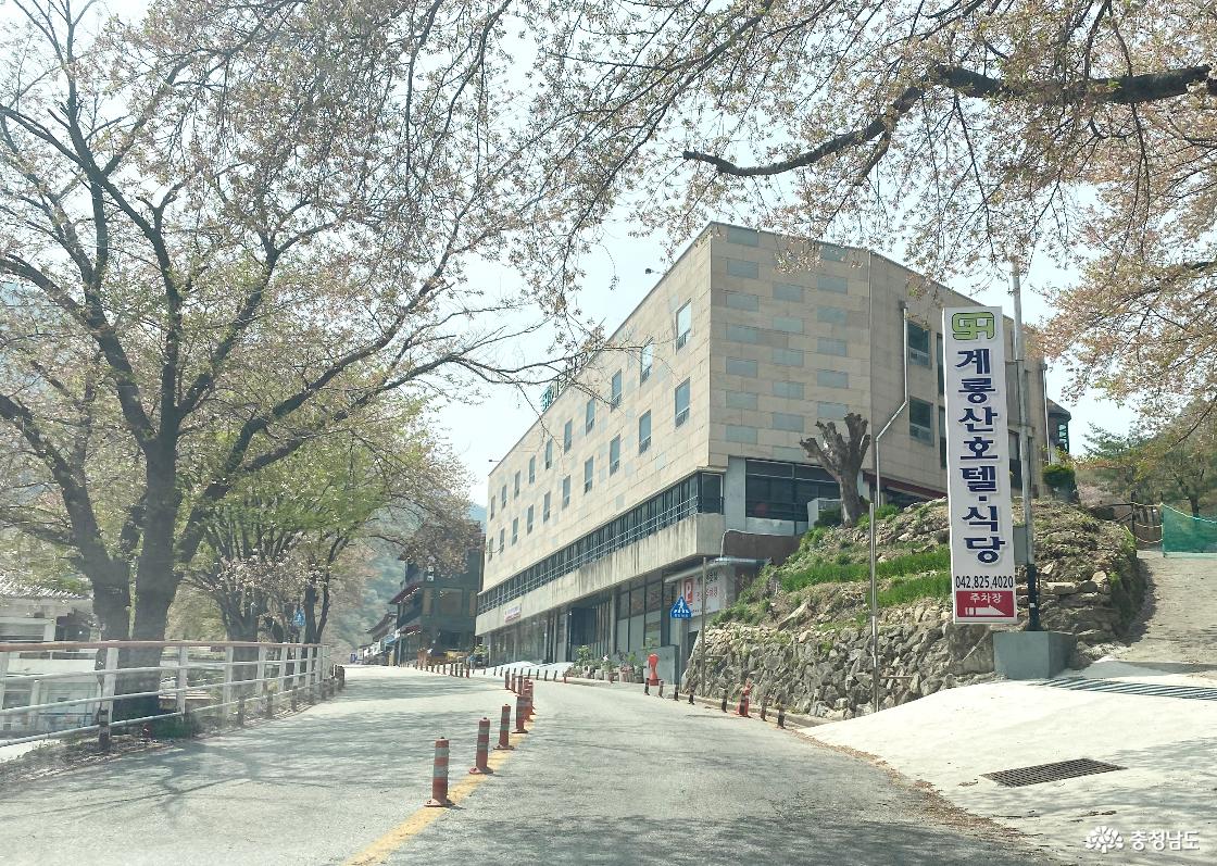 계룡산 국립공원 동학사 가는길 111