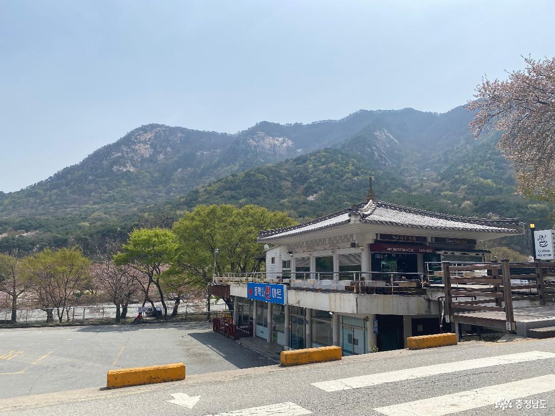 계룡산 국립공원 동학사 가는길 11
