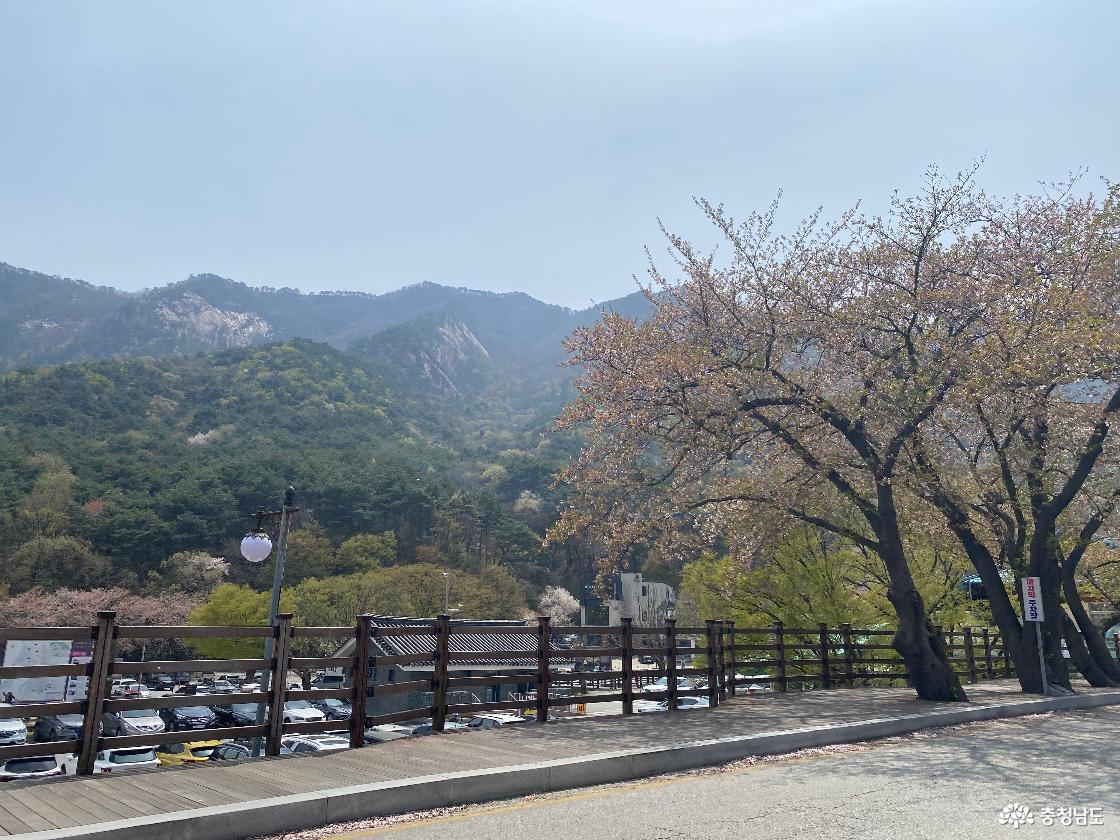 계룡산 국립공원 동학사 가는길 1