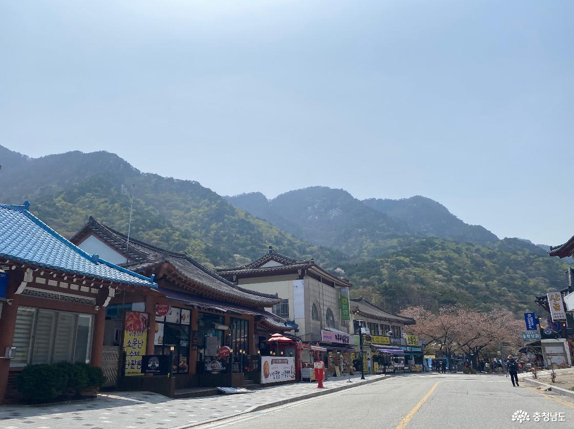 계룡산 국립공원 동학사 가는길 15