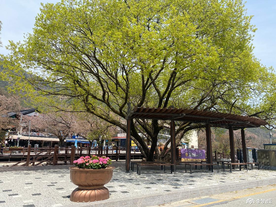 계룡산 국립공원 동학사 가는길 166