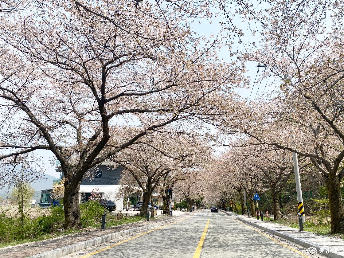 계룡산 국립공원 동학사 가는길 177