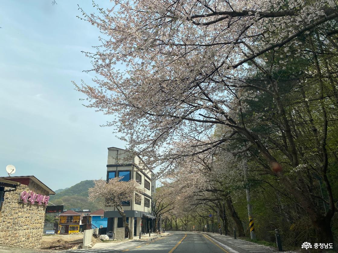 계룡산 국립공원 동학사 가는길 17777