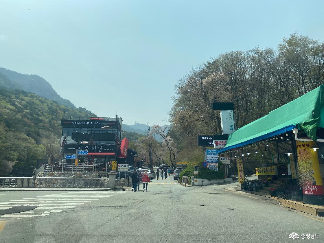 계룡산 국립공원 동학사 가는길 15555