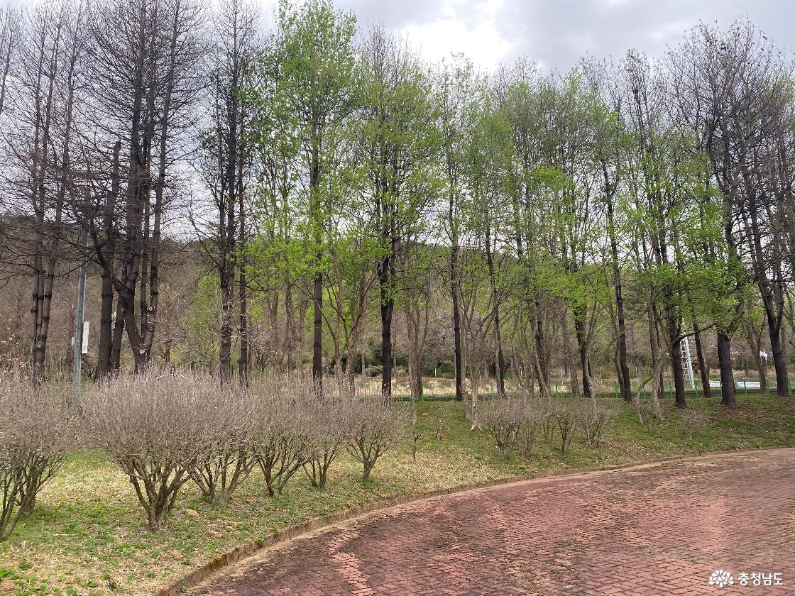 광복단결사대기념탑 1555