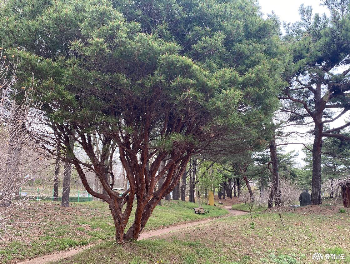 광복단결사대기념탑 1777