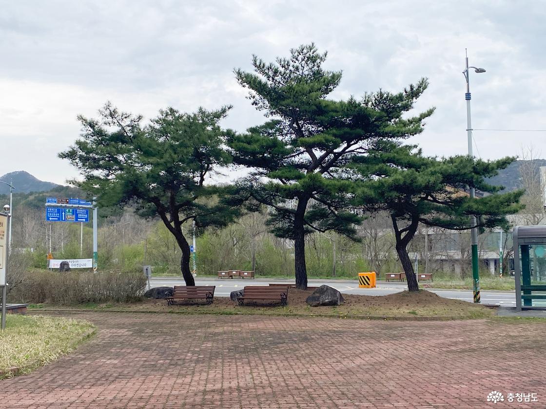 광복단결사대기념탑 19