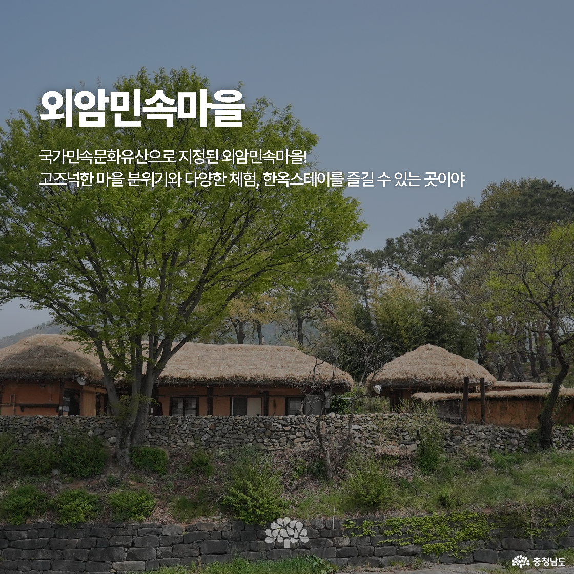 초가집과 돌담이 고즈넉한 분위기를 자아내는 외암민속마을 전경입니다. 전통문화체험과 한옥스테이를 즐길 수 있는 곳으로 소개됩니다.