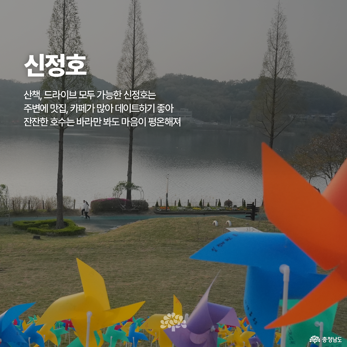 호수 주변에 알록달록한 바람개비가 장식되어 있고, 물가에는 데이트를 즐기는 사람들이 보입니다. 신정호는 산책과 드라이브가 모두 가능한 명소로 평온한 분위기를 전달합니다.