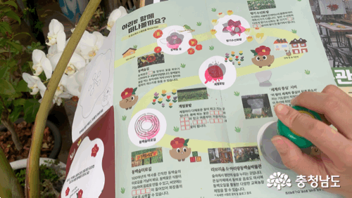 라브리움&아리랑동백숲박물관