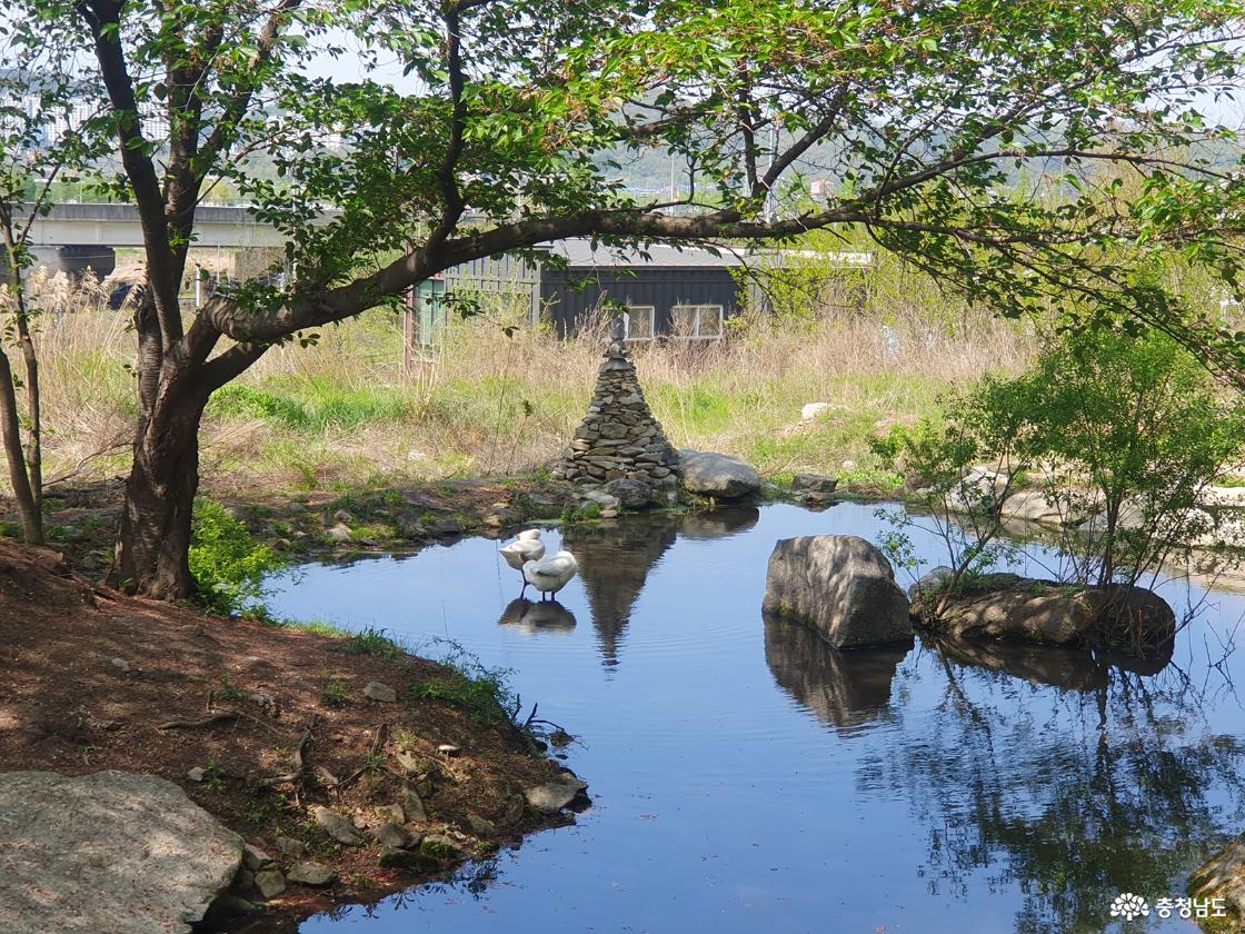 당림미술관 거위