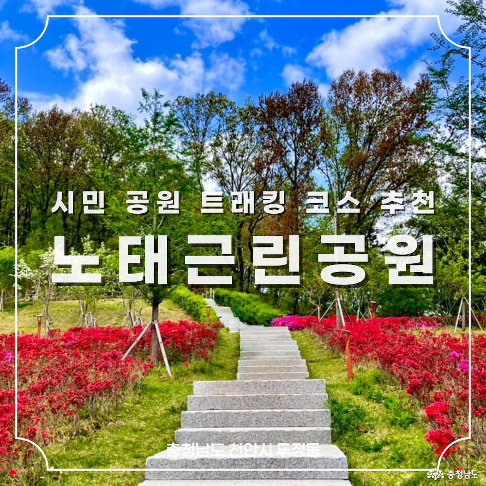 등산과 둘레길을 함께 걸을 수 있는 트래킹 코스: <노태근린공원>과 <노태산>, 노태산 둘레길 걷기
