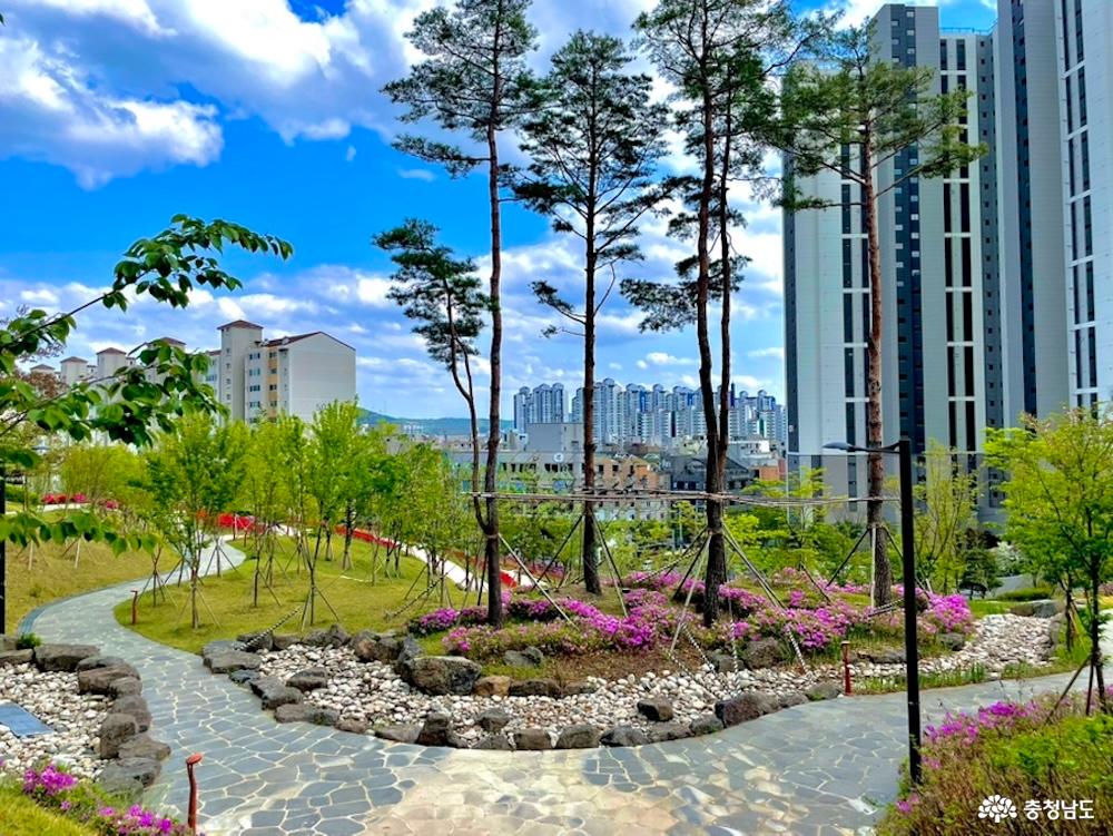 노태근린공원 마당의 위에서 공원과 도시의 풍경을 한 눈에 담은 사진