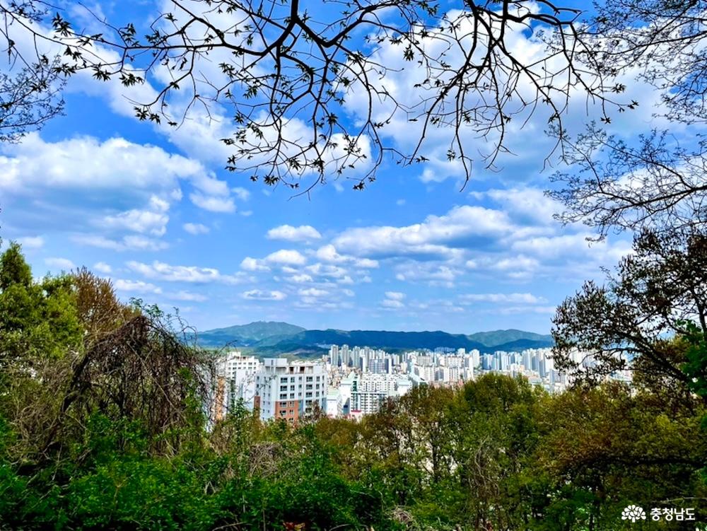 노태산 정상에서 도시 전체의 풍경을 넓게 담은 사진