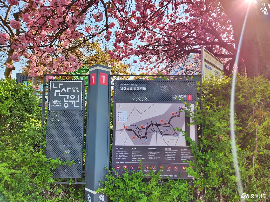 당진남산 표지