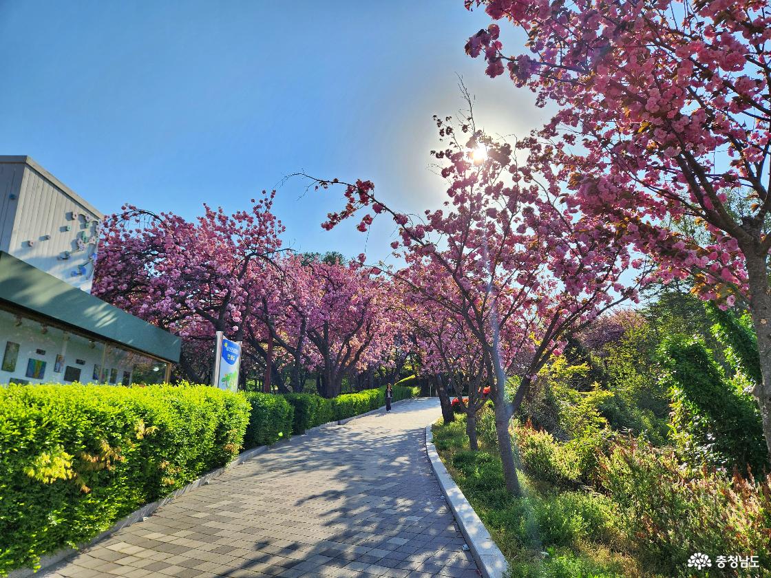 당진남산 주 출입로