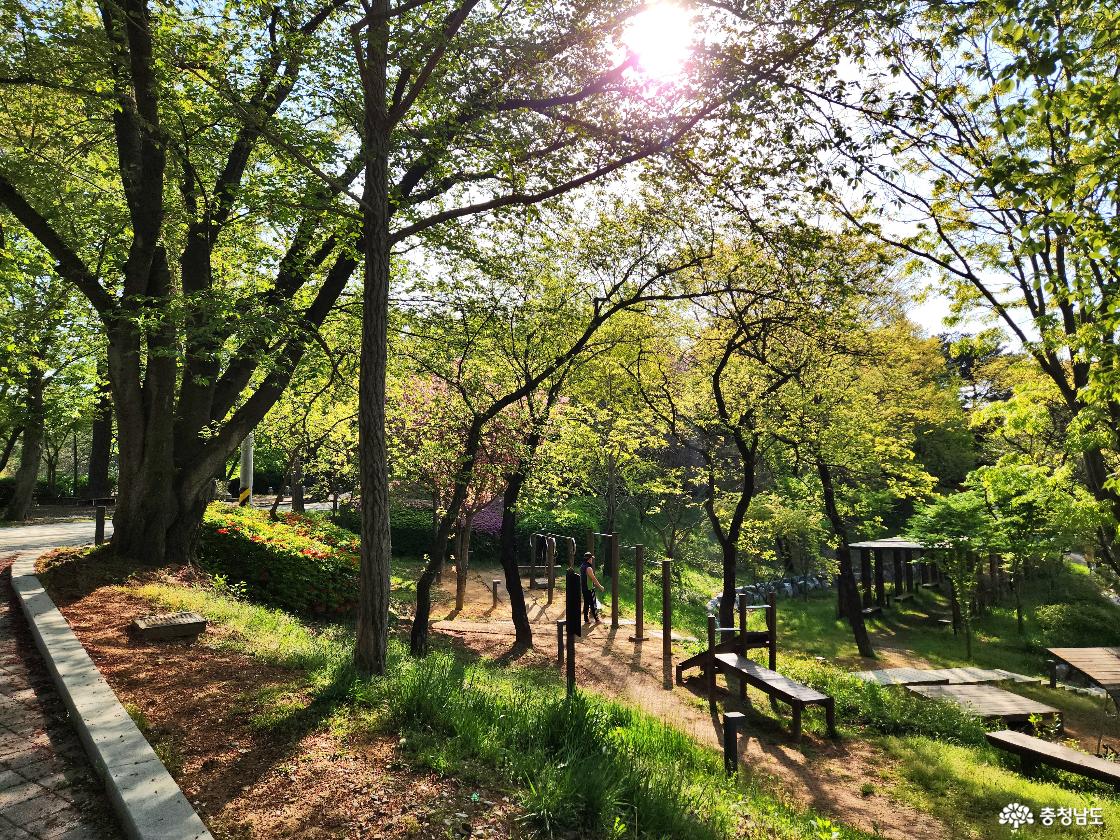 당진남산 운동기구