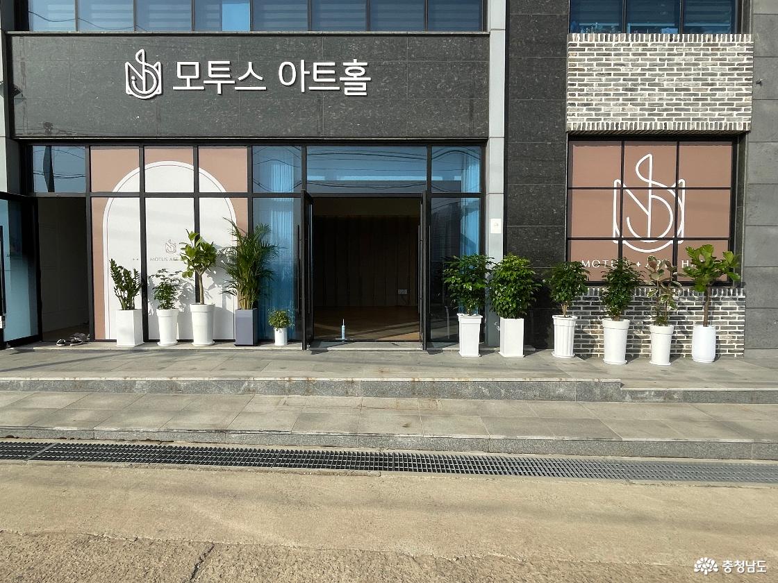 모투스 아트홀